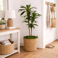 48-Inch Artificial Dracaena Tree with Real Touch Leaves and Decorative Pot, Maintenance-Free Indoor Floor Plant for Living Room, Office and Home Décor