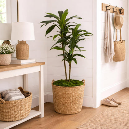 48-Inch Artificial Dracaena Tree with Real Touch Leaves and Decorative Pot, Maintenance-Free Indoor Floor Plant for Living Room, Office and Home Décor