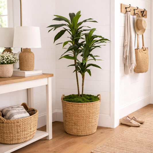 48-Inch Artificial Dracaena Tree with Real Touch Leaves and Decorative Pot, Maintenance-Free Indoor Floor Plant for Living Room, Office and Home Décor